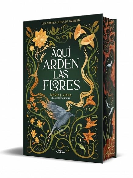 AQUÍ ARDEN LAS FLORES | 9791387741662 | @AIGUADVALENCIA | Llibreria Online de Vilafranca del Penedès | Comprar llibres en català