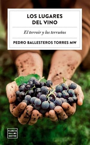 LOS LUGARES DEL VINO | 9788408323051 | BALLESTEROS TORRES, PEDRO | Llibreria Online de Vilafranca del Penedès | Comprar llibres en català