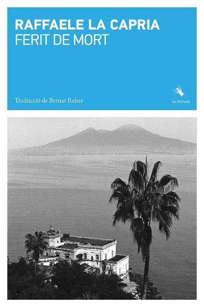 FERIT DE MORT | 9791399140989 | LA CAPRIA, RAFFAELE | Llibreria Online de Vilafranca del Penedès | Comprar llibres en català