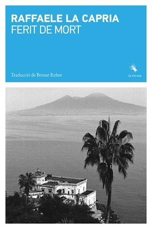 FERIT DE MORT | 9791399140989 | LA CAPRIA, RAFFAELE | Llibreria Online de Vilafranca del Penedès | Comprar llibres en català