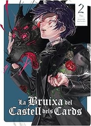 LA BRUIXA DEL CASTELL DELS CARDS | 9788412998955 | TARACHINE, JOHN | Llibreria Online de Vilafranca del Penedès | Comprar llibres en català
