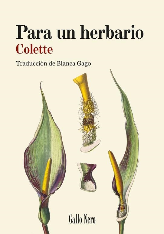 PARA UN HERBARIO | 9788419168887 | COLETTE, SIDONIE-GABRIELLE | Llibreria L'Odissea - Libreria Online de Vilafranca del Penedès - Comprar libros