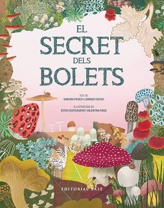 EL SECRET DELS BOLETS | 9791387728502 | PICOCO, GINEVRA/COCCHI, LORENZO | Llibreria L'Odissea - Libreria Online de Vilafranca del Penedès - Comprar libros