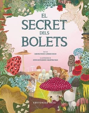 EL SECRET DELS BOLETS | 9791387728502 | PICOCO, GINEVRA/COCCHI, LORENZO | Llibreria L'Odissea - Libreria Online de Vilafranca del Penedès - Comprar libros