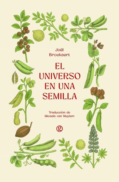 EL UNIVERSO EN UNA SEMILLA | 9788419990839 | BROEKAERT, JOËL | Llibreria L'Odissea - Libreria Online de Vilafranca del Penedès - Comprar libros