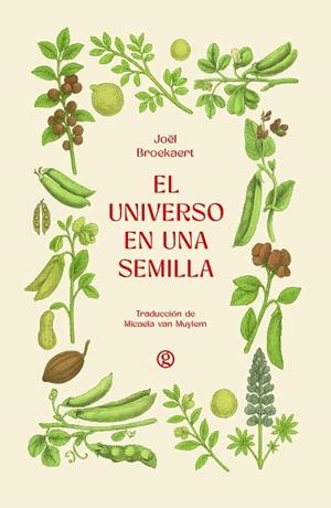 EL UNIVERSO EN UNA SEMILLA | 9788419990839 | BROEKAERT, JOËL | Llibreria L'Odissea - Libreria Online de Vilafranca del Penedès - Comprar libros