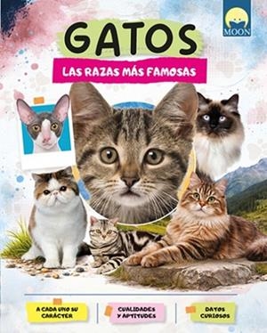 GATOS RAZAS MAS FAMOSAS | 9791256431762 | Llibreria Online de Vilafranca del Penedès | Comprar llibres en català