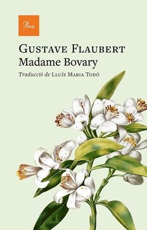 MADAME BOVARY | 9791388369070 | FLAUBERT, GUSTAVE | Llibreria Online de Vilafranca del Penedès | Comprar llibres en català
