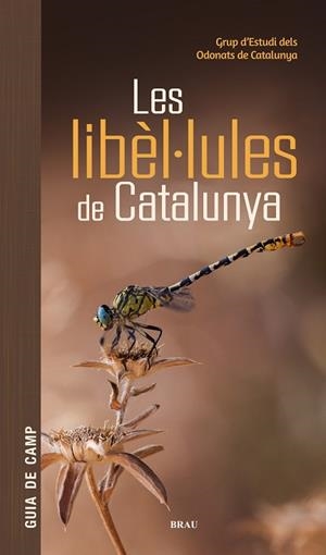 LES LIBÈL·LULES DE CATALUNYA | 9791387701178 | GRUP D'ESTUDIS DELS ODONATS DE CATALUNYA | Llibreria Online de Vilafranca del Penedès | Comprar llibres en català