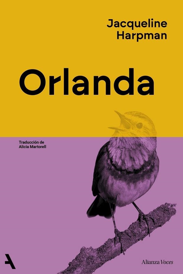 ORLANDA | 9791370093020 | HARPMAN, JACQUELINE | Llibreria Online de Vilafranca del Penedès | Comprar llibres en català