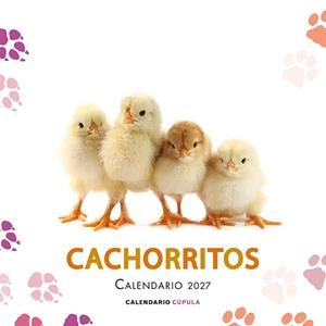 CALENDARIO CACHORRITOS 2027 | 9788448049317 | AA. VV. | Llibreria Online de Vilafranca del Penedès | Comprar llibres en català