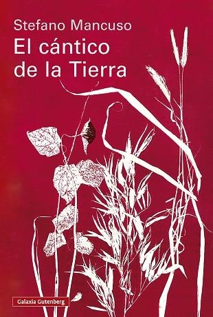 EL CÁNTICO DE LA TIERRA | 9791388019845 | MANCUSO, STEFANO | Llibreria Online de Vilafranca del Penedès | Comprar llibres en català