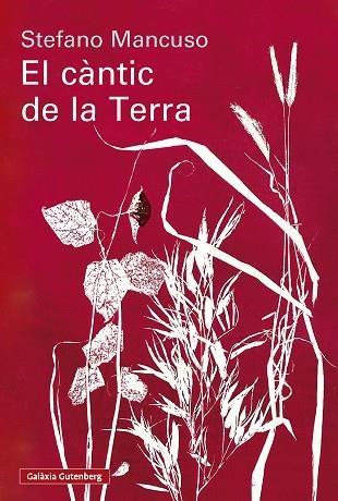 EL CÀNTIC DE LA TERRA | 9791388019852 | MANCUSO, STEFANO | Llibreria Online de Vilafranca del Penedès | Comprar llibres en català