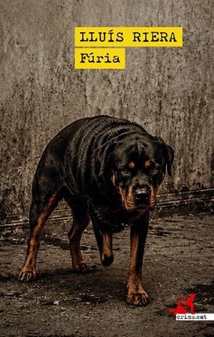 FÚRIA | 9791388174247 | RIERA, LLUIS | Llibreria Online de Vilafranca del Penedès | Comprar llibres en català