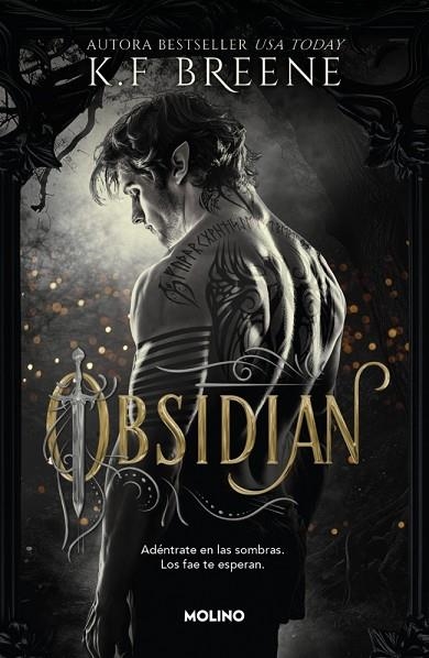 LOS FAE DE LAS SOMBRAS 1 - OBSIDIAN | 9788427257290 | BREENE, K.F. | Llibreria Online de Vilafranca del Penedès | Comprar llibres en català