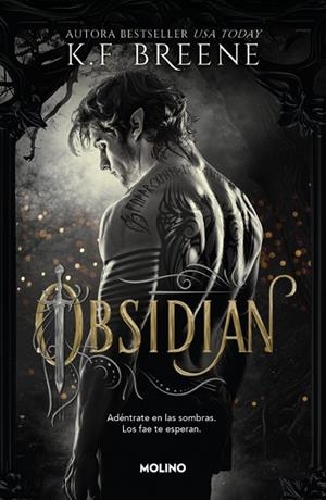 LOS FAE DE LAS SOMBRAS 1 - OBSIDIAN | 9788427257290 | BREENE, K.F. | Llibreria Online de Vilafranca del Penedès | Comprar llibres en català