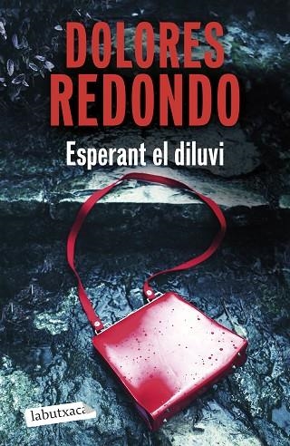 ESPERANT EL DILUVI | 9791387802875 | REDONDO, DOLORES | Llibreria L'Odissea - Libreria Online de Vilafranca del Penedès - Comprar libros