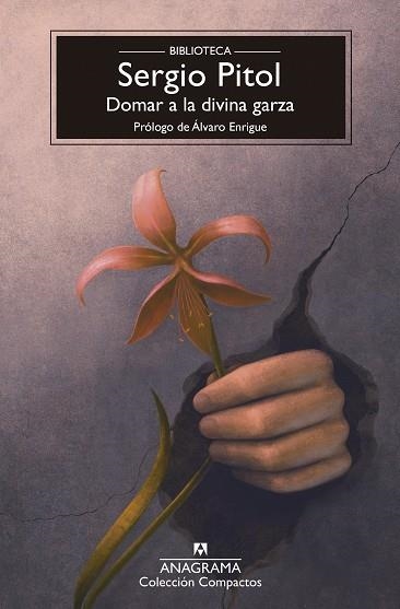 DOMAR A LA DIVINA GARZA | 9788433950987 | PITOL, SERGIO | Llibreria Online de Vilafranca del Penedès | Comprar llibres en català