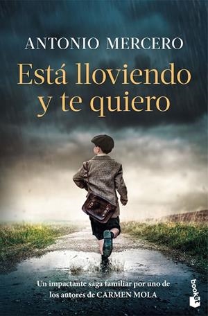 ESTÁ LLOVIENDO Y TE QUIERO | 9788408326724 | MERCERO, ANTONIO | Llibreria Online de Vilafranca del Penedès | Comprar llibres en català