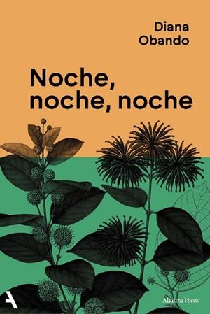 NOCHE NOCHE NOCHE | 9791370093235 | OBANDO, DIANA | Llibreria Online de Vilafranca del Penedès | Comprar llibres en català