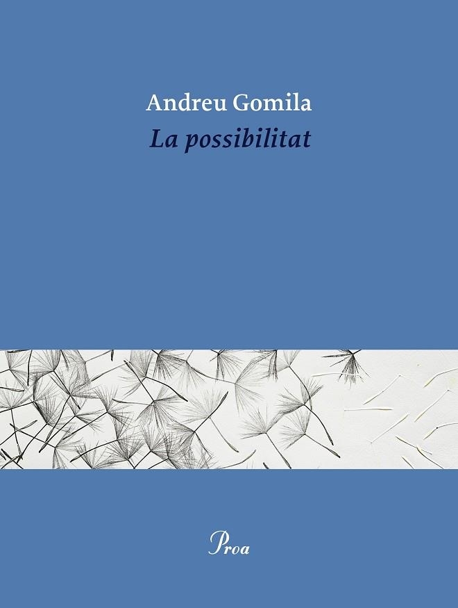 LA POSSIBILITAT | 9791388369155 | GOMILA LLOBERA, ANDREU | Llibreria Online de Vilafranca del Penedès | Comprar llibres en català