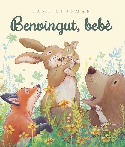 BENVINGUT, BEBÈ | 9788419912640 | CHAPMAN, JANE | Llibreria L'Odissea - Libreria Online de Vilafranca del Penedès - Comprar libros