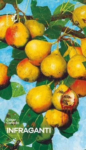 INFRAGANTI | 9788412709292 | CAÑEDO, CÉSAR | Llibreria Online de Vilafranca del Penedès | Comprar llibres en català